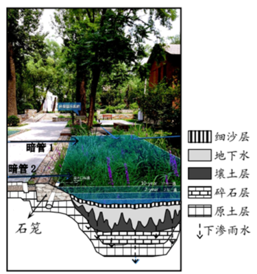 花园道路设计,花园路的设计