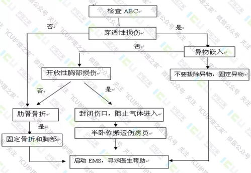 加压绷带设计方案[加压绷带设计方案及流程]