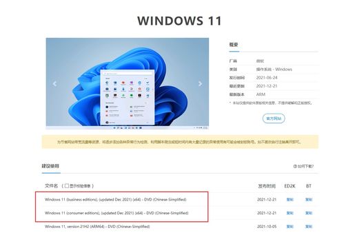 u盘安装win11系统(u盘安装win11系统流程) 20240603更新