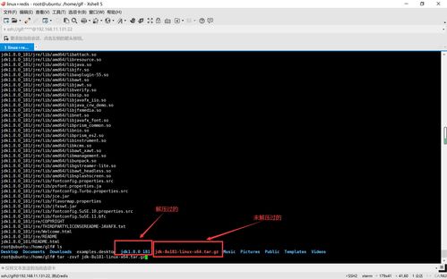 linux安装jdk(linux安装jdk后javac不行) 20240824更新