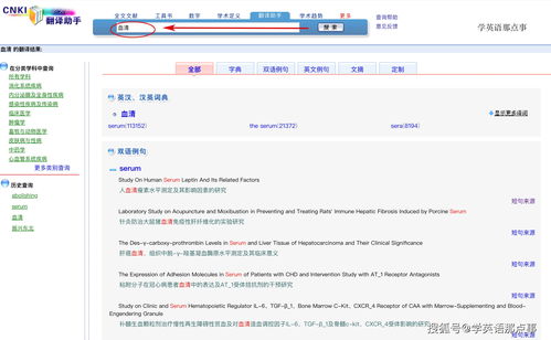 中英文在线翻译百度(中英文在线互译翻译) 20240923更新