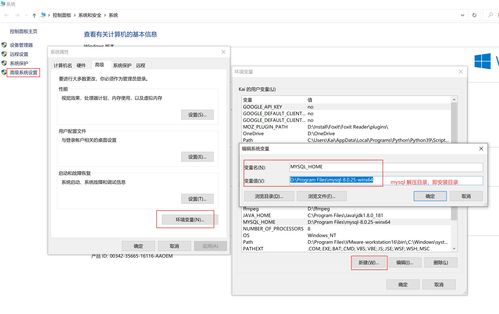 安装mysql详细步骤(安装mysql57详细步骤) 20240923更新