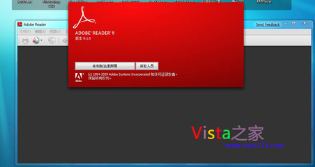 adobereader9(adobereader是什么软件)