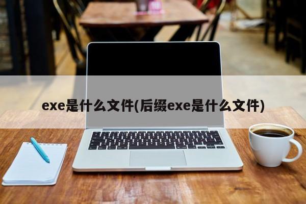 exe是什么文件(后缀exe是什么文件)