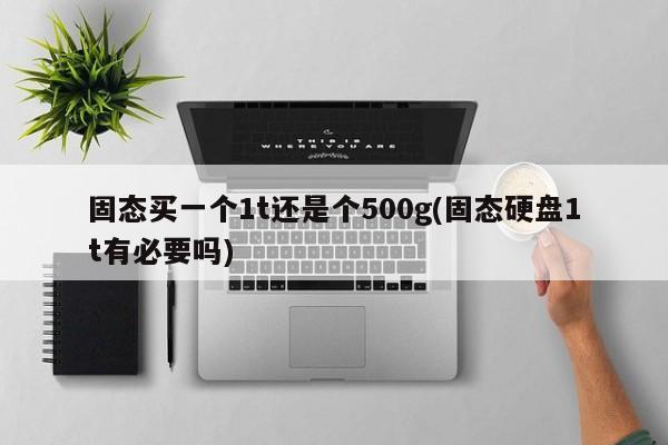 固态买一个1t还是个500g(固态硬盘1t有必要吗)