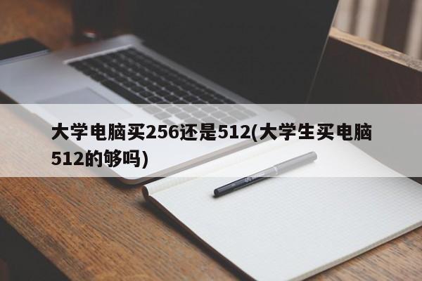 大学电脑买256还是512(大学生买电脑512的够吗)